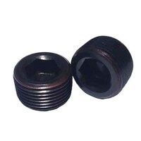 SOCKET PIPE PLUGS CS